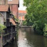 Brugge Canal Swan 1